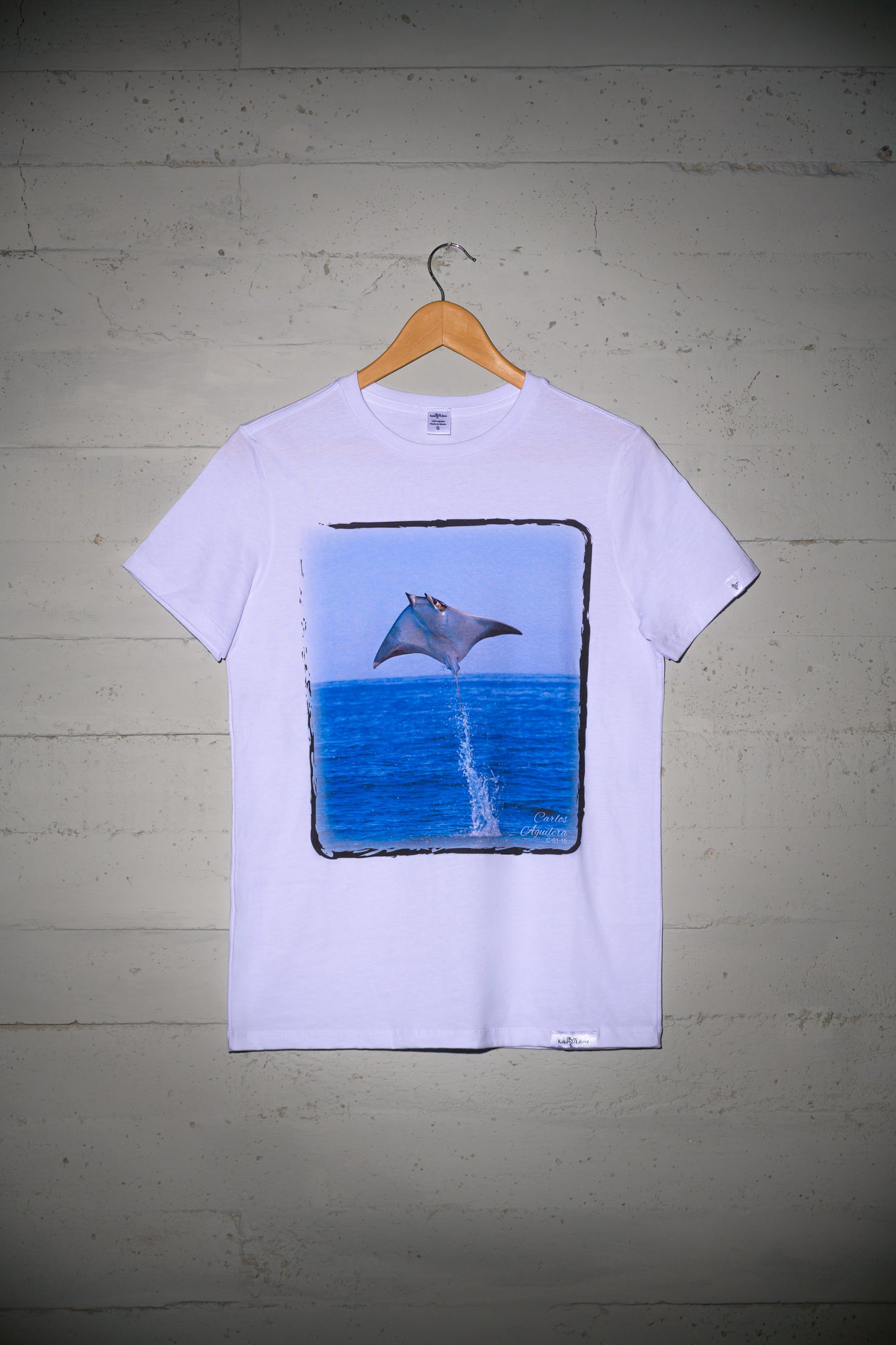 Mobula